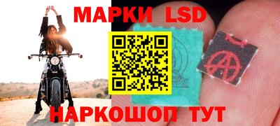 apvp Новозыбков