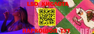 спиды Новодвинск