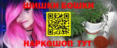 спиды Новодвинск