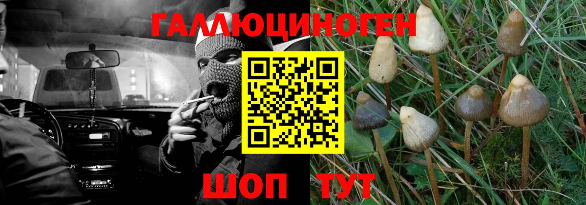 хочу наркоту  Галлюциногенные грибы Magic Shrooms  Вход с VPN  Трёхгорный 
